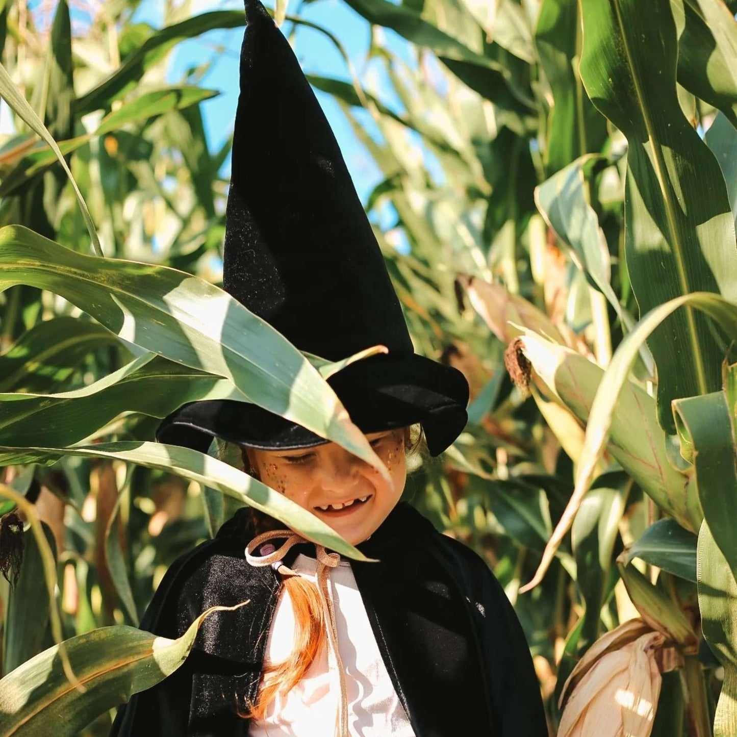 Child in a witch costume standing among corn plants