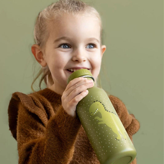 Roskilde Stainless Steel Bottle 500ml - Mr Dino